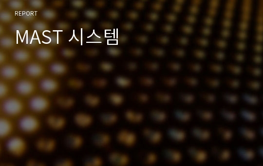 MAST 시스템