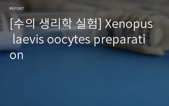 [수의 생리학 실험] Xenopus laevis oocytes preparation