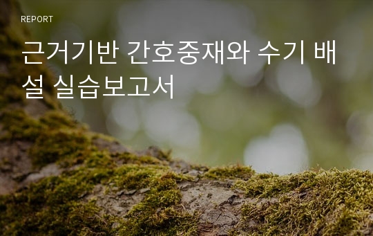 근거기반 간호중재와 수기 배설 실습보고서