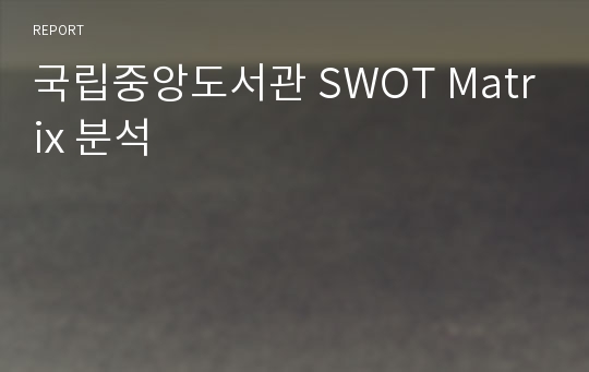 국립중앙도서관 SWOT Matrix 분석