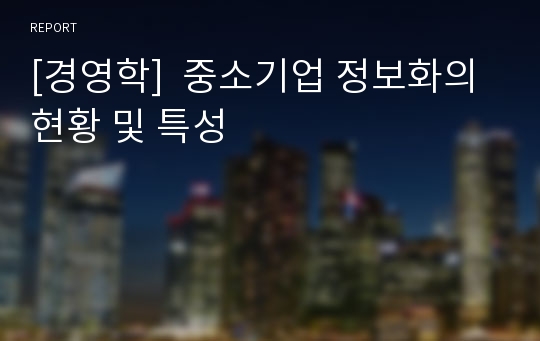 [경영학]  중소기업 정보화의 현황 및 특성