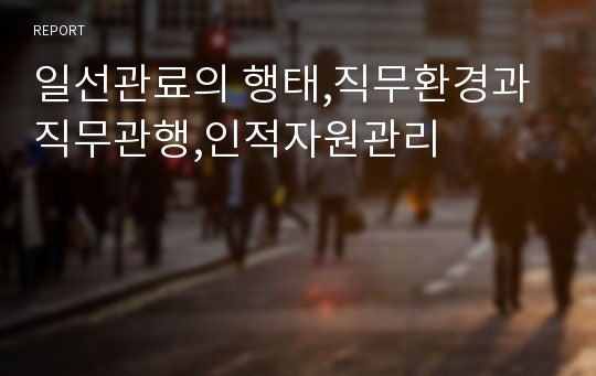 일선관료의 행태,직무환경과 직무관행,인적자원관리