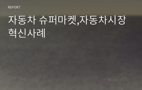 자동차 슈퍼마켓,자동차시장혁신사례