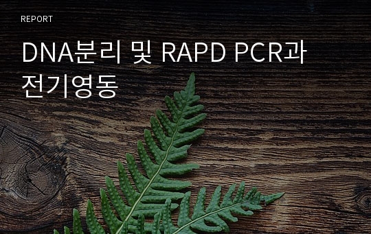 DNA분리 및 RAPD PCR과 전기영동