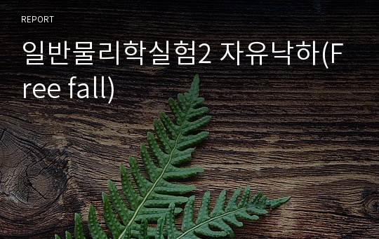 일반물리학실험2 자유낙하(Free fall)