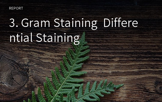 3. Gram Staining  Differential Staining