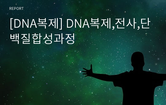 [DNA복제] DNA복제,전사,단백질합성과정