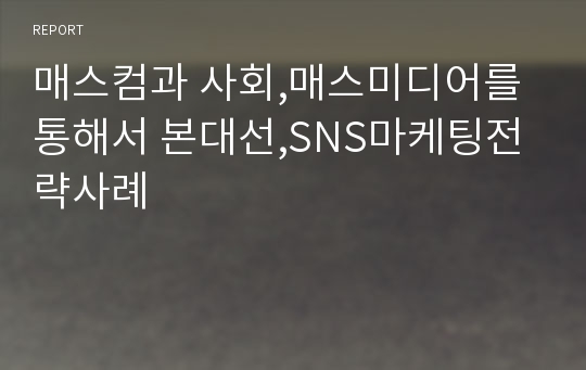 매스컴과 사회,매스미디어를 통해서 본대선,SNS마케팅전략사례