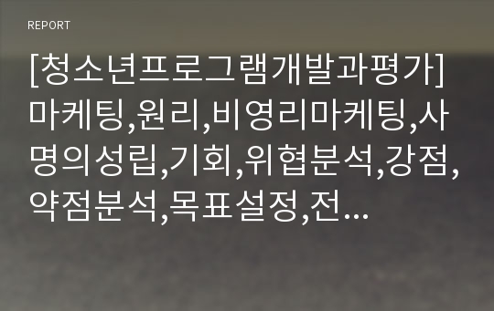 [청소년프로그램개발과평가] 마케팅,원리,비영리마케팅,사명의성립,기회,위협분석,강점,약점분석,목표설정,전략,실행계획형성,피드백,STP전략,혼합전략,집단세분화,4요소,제품,가격,유통,