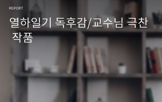 열하일기 독후감/교수님 극찬 작품