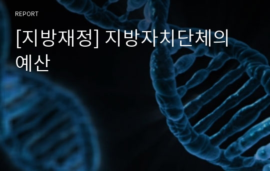 [지방재정] 지방자치단체의 예산