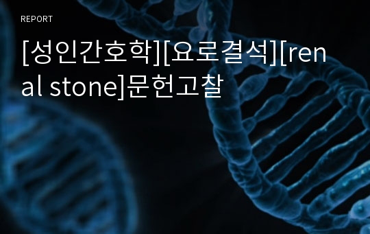 [성인간호학][요로결석][renal stone]문헌고찰