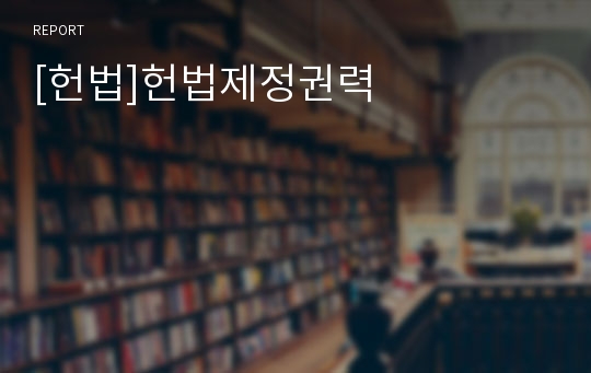 [헌법]헌법제정권력