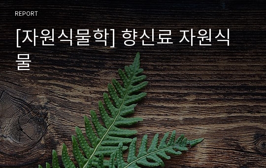 [자원식물학] 향신료 자원식물