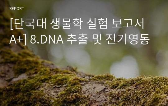 [단국대 생물학 실험 보고서 A+] 8.DNA 추출 및 전기영동