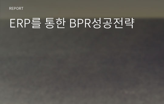 ERP를 통한 BPR성공전략