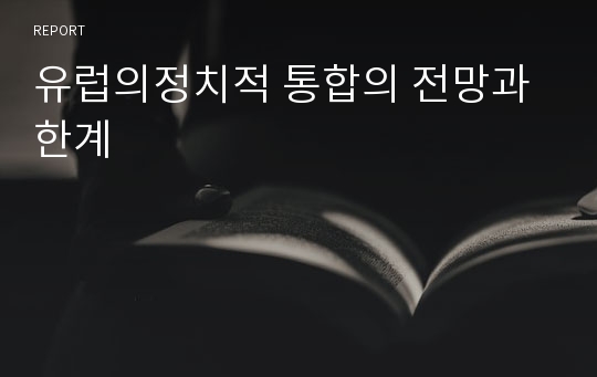 유럽의정치적 통합의 전망과 한계