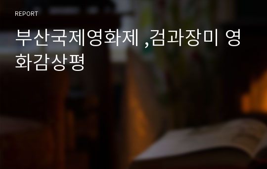 부산국제영화제 ,검과장미 영화감상평