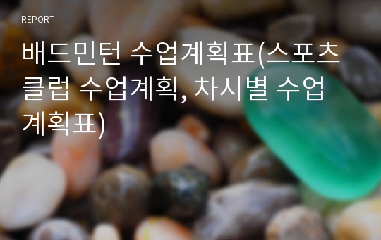 배드민턴 수업계획표(스포츠클럽 수업계획, 차시별 수업계획표)