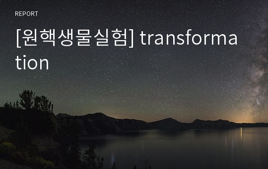 [원핵생물실험] transformation