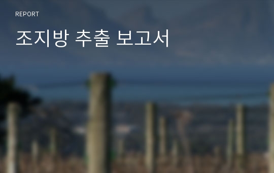 조지방 추출 보고서