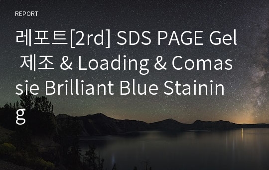 레포트[2rd] SDS PAGE Gel 제조 &amp; Loading &amp; Comassie Brilliant Blue Staining  