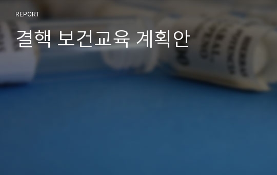 결핵 보건교육 계획안