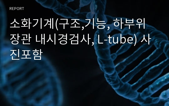 소화기계(구조,기능, 하부위장관 내시경검사, L-tube) 사진포함