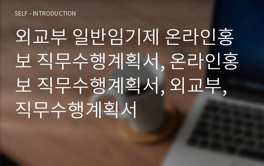 외교부 일반임기제 온라인홍보 직무수행계획서, 온라인홍보 직무수행계획서, 외교부, 직무수행계획서