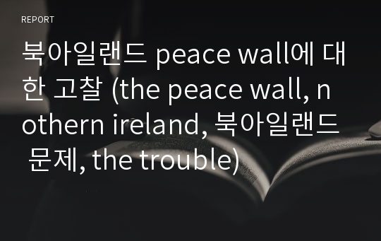 북아일랜드 peace wall에 대한 고찰 (the peace wall, nothern ireland, 북아일랜드 문제, the trouble)