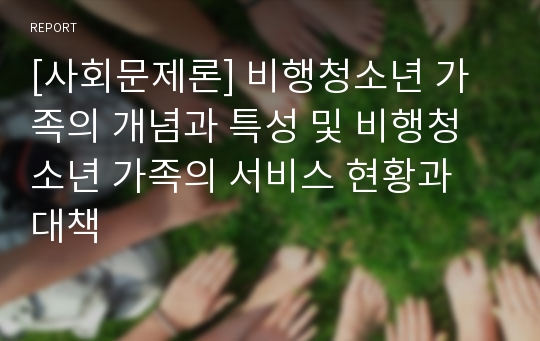 [사회문제론] 비행청소년 가족의 개념과 특성 및 비행청소년 가족의 서비스 현황과 대책