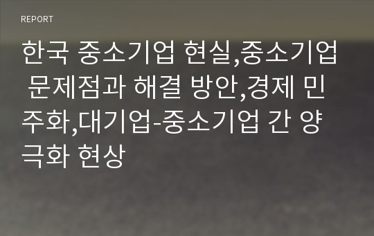 한국 중소기업 현실,중소기업 문제점과 해결 방안,경제 민주화,대기업-중소기업 간 양극화 현상