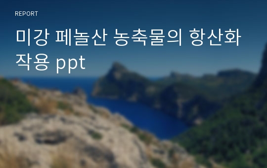 미강 페놀산 농축물의 항산화작용 ppt