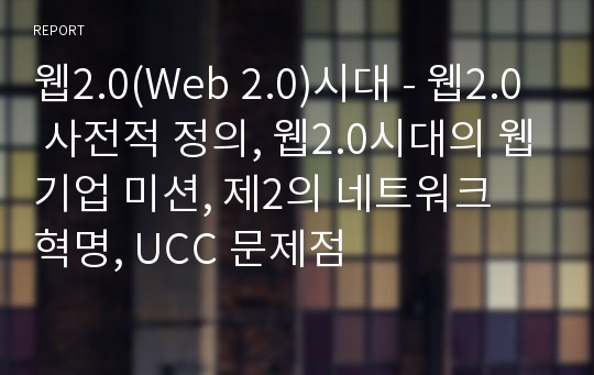 웹2.0(Web 2.0)시대 - 웹2.0 사전적 정의, 웹2.0시대의 웹기업 미션, 제2의 네트워크 혁명, UCC 문제점