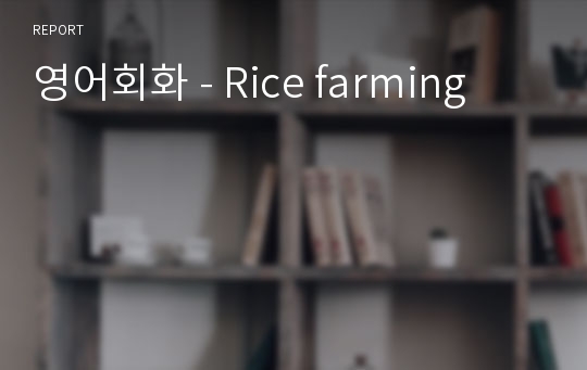 영어회화 - Rice farming