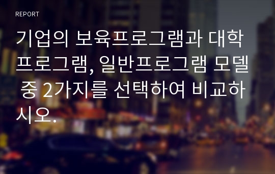 기업의 보육프로그램과 대학 프로그램, 일반프로그램 모델 중 2가지를 선택하여 비교하시오.