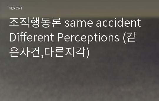 조직행동론 same accident Different Perceptions (같은사건,다른지각)