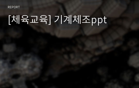 [체육교육] 기계체조ppt