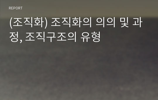 (조직화) 조직화의 의의 및 과정, 조직구조의 유형