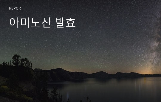 아미노산 발효