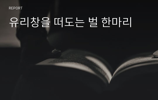 유리창을 떠도는 벌 한마리