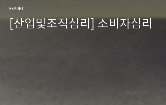 [산업및조직심리] 소비자심리