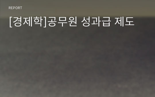 [경제학]공무원 성과급 제도