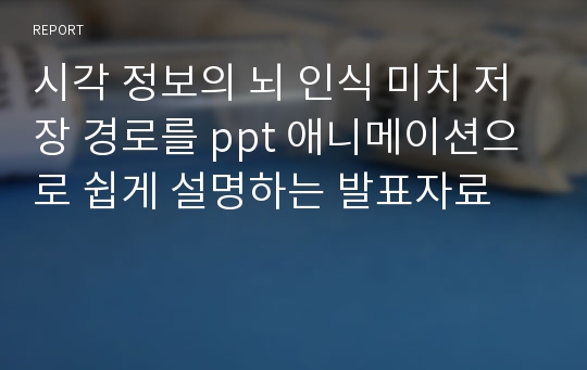 시각 정보의 뇌 인식 미치 저장 경로를 ppt 애니메이션으로 쉽게 설명하는 발표자료