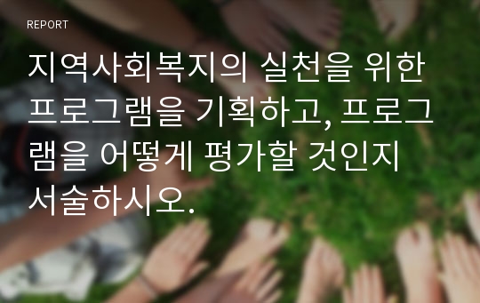 지역사회복지의 실천을 위한 프로그램을 기획하고, 프로그램을 어떻게 평가할 것인지 서술하시오.