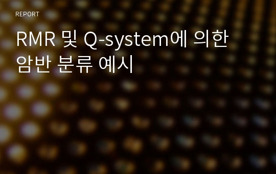 RMR 및 Q-system에 의한 암반 분류 예시