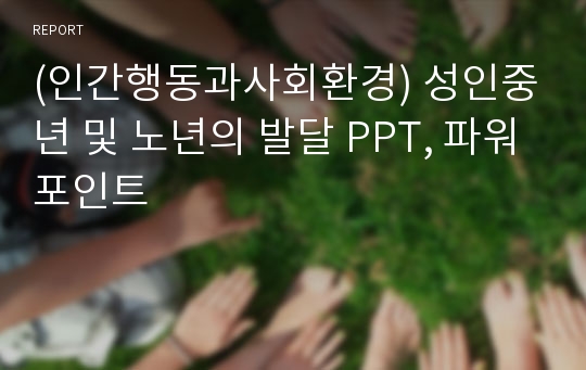 (인간행동과사회환경) 성인중년 및 노년의 발달 PPT, 파워포인트