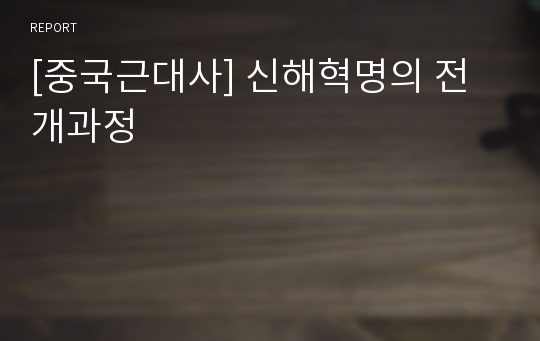 [중국근대사] 신해혁명의 전개과정