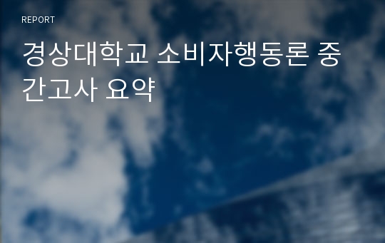 경상대학교 소비자행동론 중간고사 요약