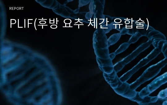 PLIF(후방 요추 체간 유합술)